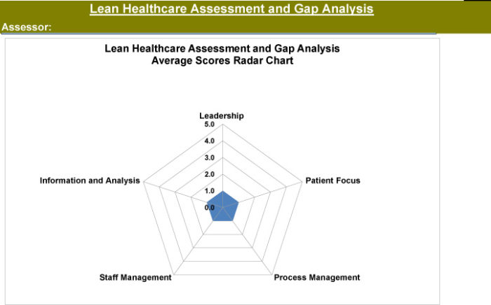 Lean Healthcare Assessment and Gap Analysis